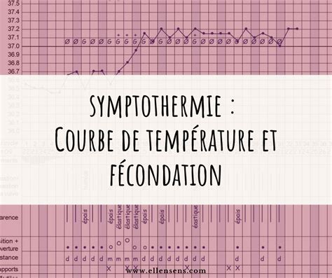 Exemple De Courbe De Température Avec Grossesse Divers Exemples