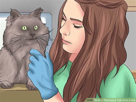 How to Remove a Tick from a Cat: 13 Steps (with Pictures)