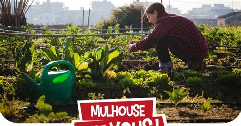 Rendez Vous Citoyen Cultiver La Ville L Agriculture Urbaine