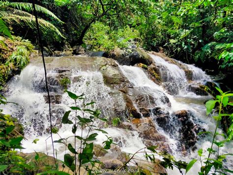 Panduan Eksplor 3 Curug Sekaligus Di Pamijahan Bogor Curug Saderi