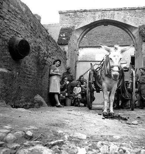 In The Vicinity Of Creully Canadian Soldiers Enjoy Fresh Milk Offered