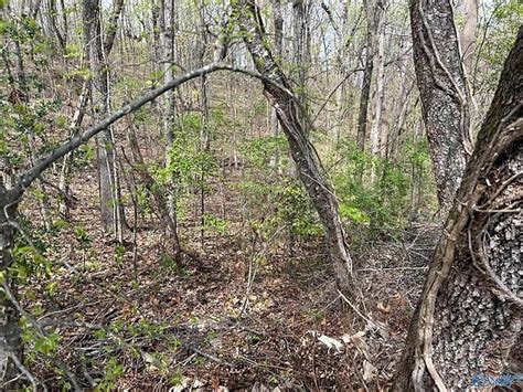 Becky Ln Gadsden Al 35907 Zillow