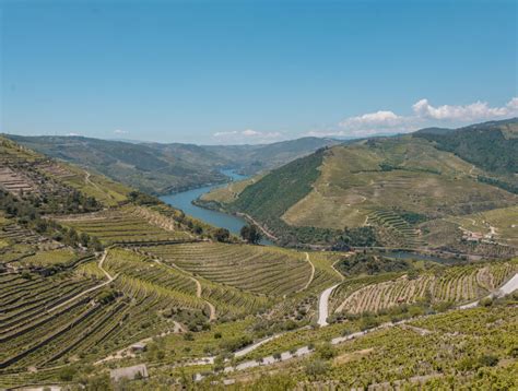 Porto To The Douro Valley How To Get There Cheap What To See