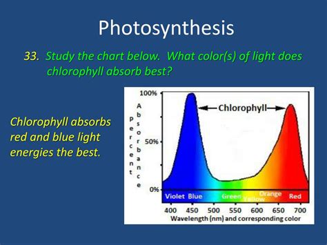 Ppt Photosynthesis Review Powerpoint Presentation Free Download Id