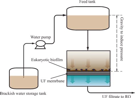 A Schematic Describing The Gravity Driven Uf Process For Brackish Water