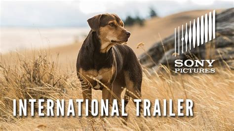 International Trailer for A Dog's Way Home