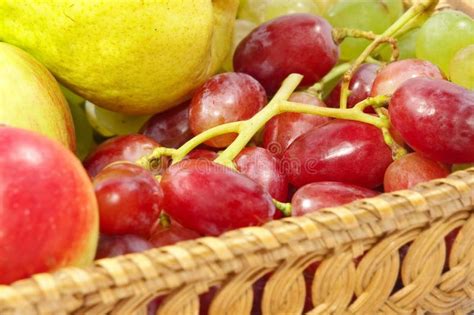 Fresh Fruits On A Straw Pot Stock Photo Image Of Berry Hungry 33815686