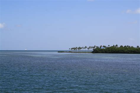 Florida Keys Information Fun Facts Hubpages