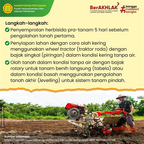 Info Teknologi Rekomendasi Budi Daya Padi Di Sawah Tadah Hujan Seri