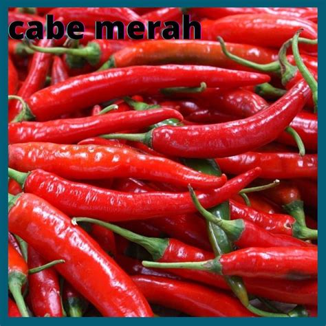 Jual Cabai Merah Fresh Gram Shopee Indonesia