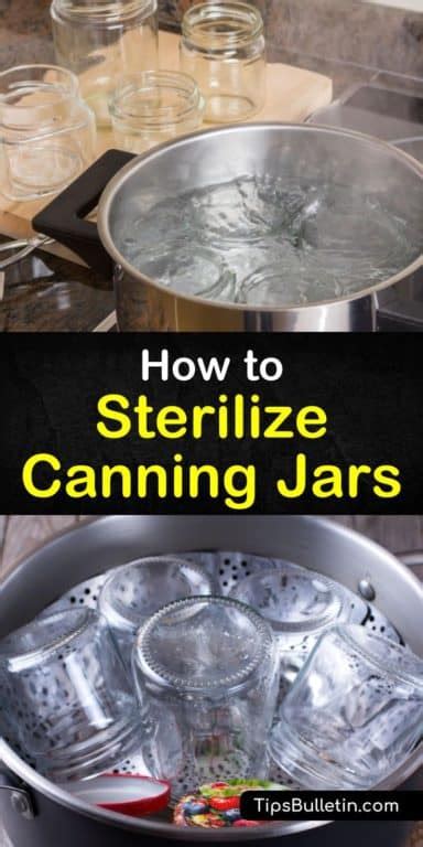 Canning Preserving And Dehydrating Food Artofit