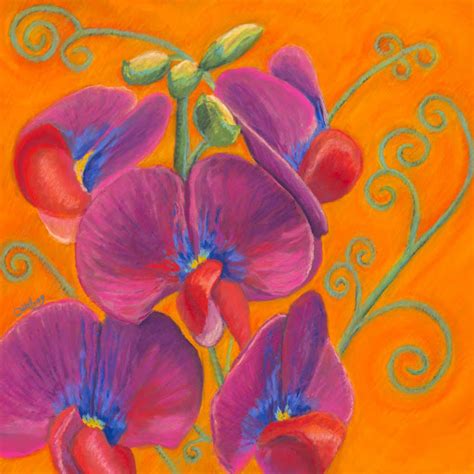 Sweet Pea Youtube Music