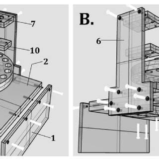 overview   pom structure assembly  anterior  lateral view