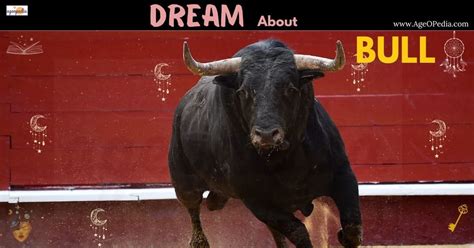 Dream About Bull Biblical Spiritual Meaning Interpretation Good Or