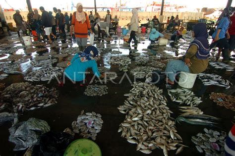 Aktivitas Lelang Ikan Masih Ramai Antara Foto