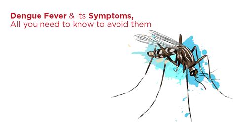 Dengue Fever All You Need To Know Blog Regency Healthcare Ltd