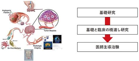 研修プログラムについて（乳腺・腫瘍内科） 国立がん研究センター 中央病院