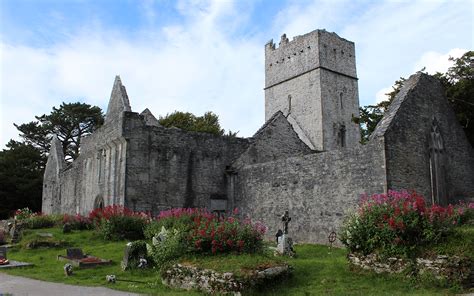 Muckross Abbey Beyond The Glass Adventure Tours