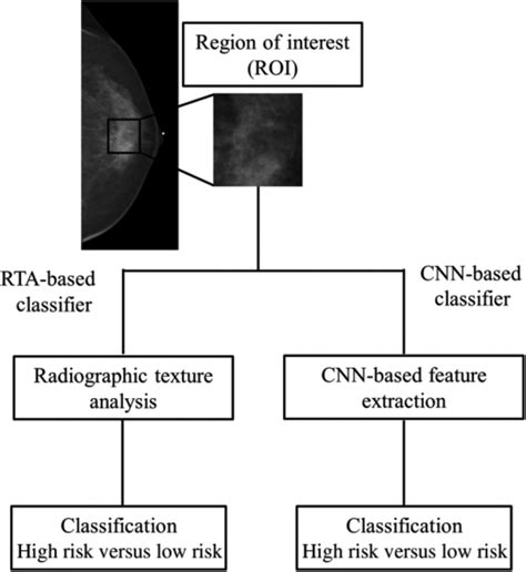 Clinical Artificial Intelligence Applications Radiology Key