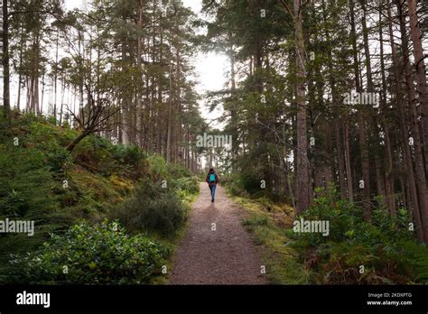 Back View Of Anonymous Person With Rucksack Walking On Narrow Path On