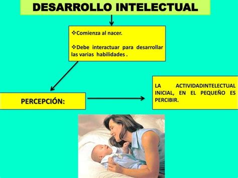 Desarrollo Del Niño Por Myriam Cordova Ppt