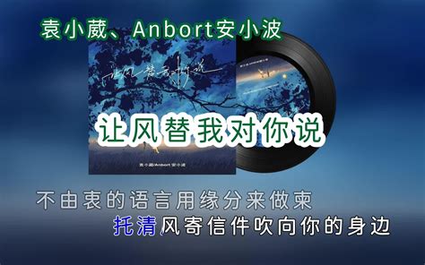 袁小葳、anbort安小波 让风替我对你说 卡拉ok字幕动态歌词 无损高音质 Tlpler 歌 哔哩哔哩视频