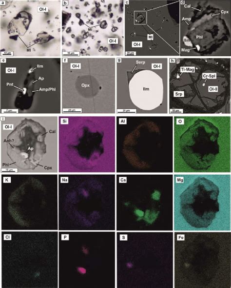 Melt Inclusions Mi In The Olivine Macrocrysts Ol I And Phenocrysts