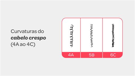 Tipos de cabelo características e como cuidar deles