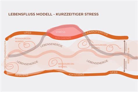 Das Lebensflussmodell Als Erkl Rung F R Stress Und Traumatischen Stress