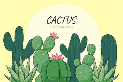 Free Vector | Cartoon cactus background