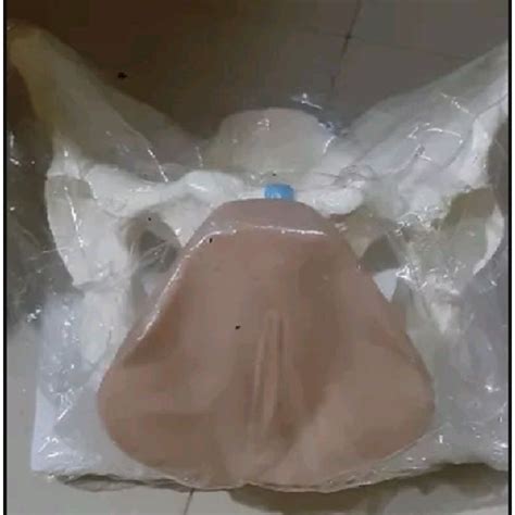 Jual Jual Alat Peraga Kerangka Panggul Wanita Model Phantom Manikin