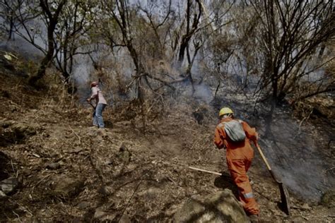 La Profepa Denuncia A Un Hombre Por El Incendio En El Parque Del