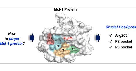 hot spots  mcl  protein journal  medicinal chemistry