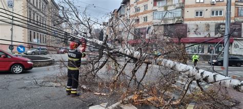 VIDEO FOTO Un copac a căzut într o intersecție din centrul