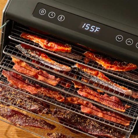 The Best Dehydrators For Jerky The Seasoned Mom