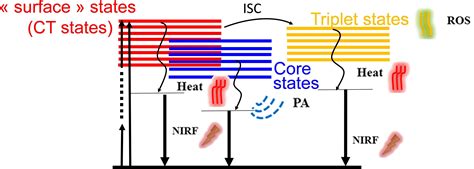 Engineering Liganded Gold Nanoclusters As Efficient Theranostic Agents