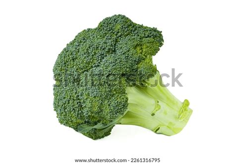 Broccoli Crown Isolated On White Background Stock Photo 2261316795