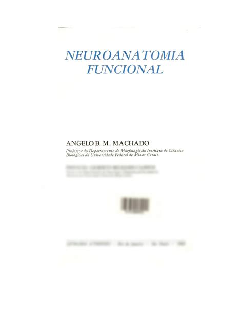 Solution Neuro Anatomia Funcional Machado Studypool