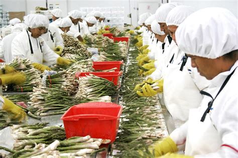 Exportaciones no tradicionales del Perú superarían este año los US