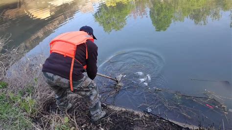 新河街道：加强河道治理 保护生态环境