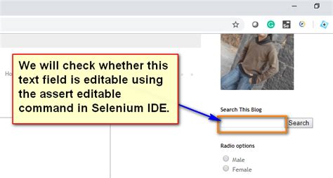 New Selenium Ide Using Assert Editable Command To Check Whether The