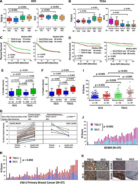 TGLI1 Activation Is Enriched In HER2 Enriched Breast Cancer And TNBC