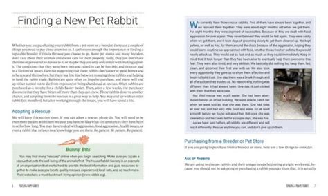 Barnes And Noble Raising Happy Rabbits Housing Feeding And Care