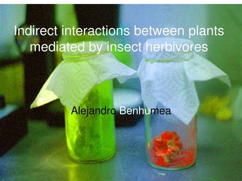 Ppt Indirect Interactions Between Plants Mediated By Insect