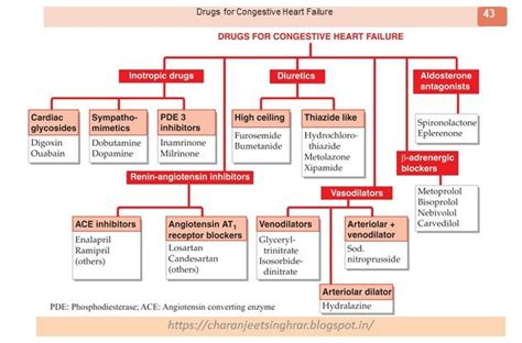 Pharmacological Classification Of Drugs Integumentary System