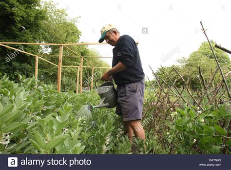 Allotments Birmingham Hi Res Stock Photography And Images Alamy