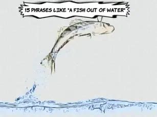 15 Phrases like "A Fish out of Water"