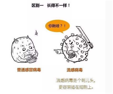 漫画图解：普通感冒和流感的区别