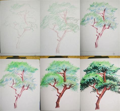 2+How to draw a watercolor tree step by step tutorial easy