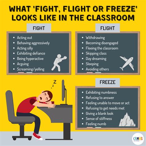 Collecter Imagen Flight Or Fight Anxiety Fr Thptnganamst Edu Vn